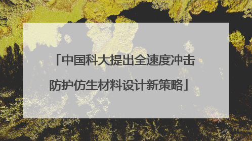 中国科大提出全速度冲击防护仿生材料设计新策略