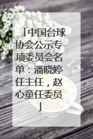 中国台球协会公示专项委员会名单：潘晓婷任主任，赵心童任委员
