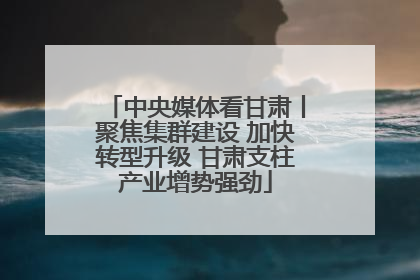 中央媒体看甘肃丨聚焦集群建设 加快转型升级 甘肃支柱产业增势强劲