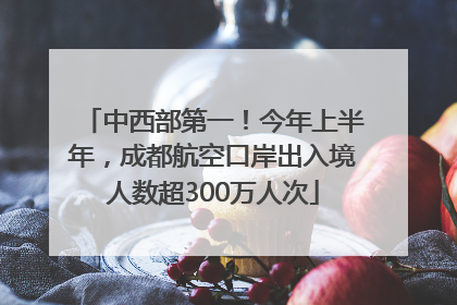 中西部第一！今年上半年，成都航空口岸出入境人数超300万人次