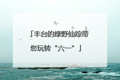 丰台的绿野仙踪带您玩转“六一”