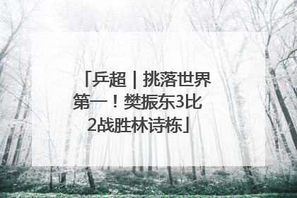 乒超｜挑落世界第一！樊振东3比2战胜林诗栋