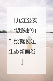 九江公安“铁腕护江”绘就长江生态新画卷