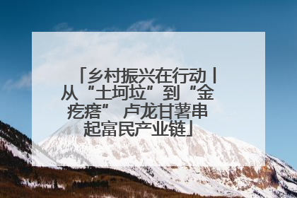 乡村振兴在行动丨从“土坷垃”到“金疙瘩” 卢龙甘薯串起富民产业链