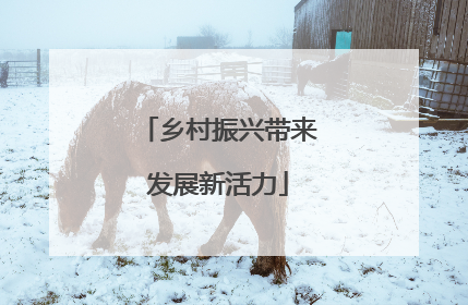 乡村振兴带来发展新活力