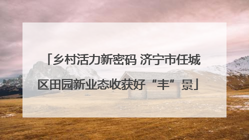 乡村活力新密码 济宁市任城区田园新业态收获好“丰”景