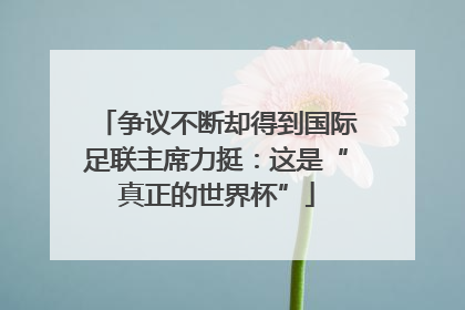 争议不断却得到国际足联主席力挺：这是“真正的世界杯”