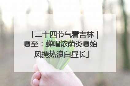 二十四节气看吉林｜夏至：蝉唱浓荫炎夏始 风携热浪白昼长