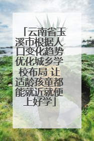 云南省玉溪市根据人口变化趋势优化城乡学校布局 让适龄孩童都能就近就便上好学
