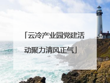 云冷产业园党建活动聚力清风正气