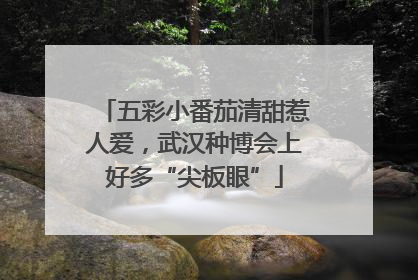 五彩小番茄清甜惹人爱，武汉种博会上好多“尖板眼”