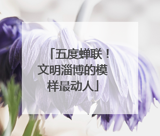 五度蝉联！文明淄博的模样最动人