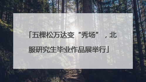 五棵松万达变“秀场”，北服研究生毕业作品展举行