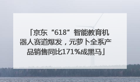 京东“618”智能教育机器人赛道爆发，元萝卜全系产品销售同比171%成黑马