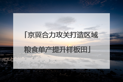 京冀合力攻关打造区域粮食单产提升样板田