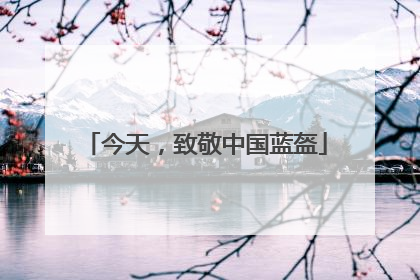 今天，致敬中国蓝盔