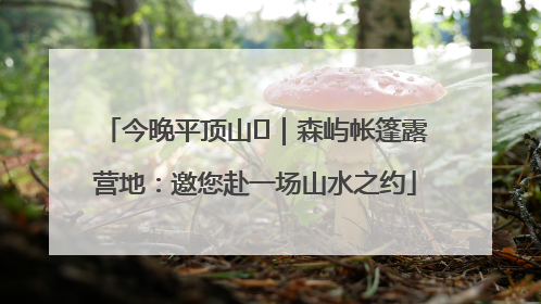 今晚平顶山⑫｜森屿帐篷露营地：邀您赴一场山水之约