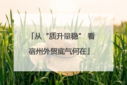 从“质升量稳” 看宿州外贸底气何在