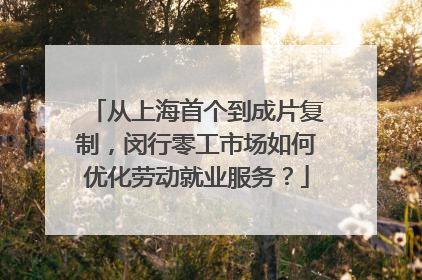 从上海首个到成片复制，闵行零工市场如何优化劳动就业服务？
