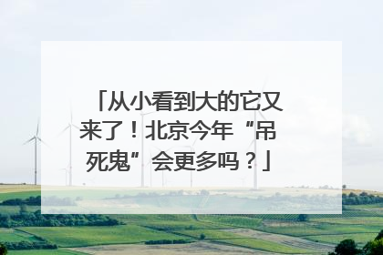 从小看到大的它又来了！北京今年“吊死鬼”会更多吗？