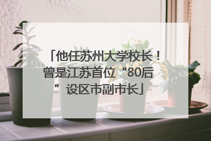 他任苏州大学校长！曾是江苏首位“80后”设区市副市长