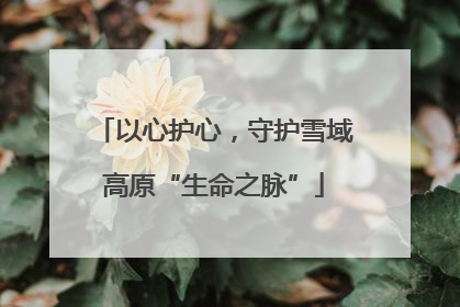 以心护心，守护雪域高原“生命之脉”