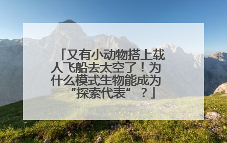 又有小动物搭上载人飞船去太空了！为什么模式生物能成为“探索代表”？
