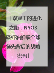双冠王的进化之路：NYO3磷虾油蝉联全球领先背后的战略密码