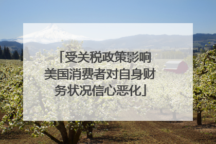 受关税政策影响 美国消费者对自身财务状况信心恶化