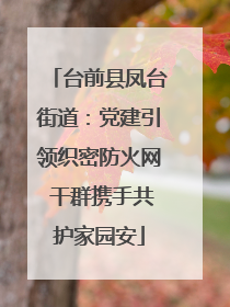 台前县凤台街道：党建引领织密防火网 干群携手共护家园安