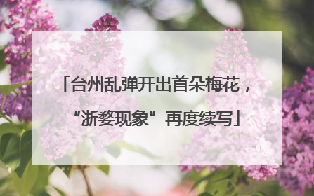 台州乱弹开出首朵梅花，“浙婺现象”再度续写