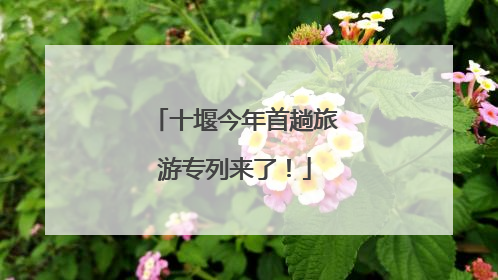 十堰今年首趟旅游专列来了！