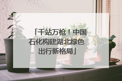 千站万枪！中国石化构建湖北绿色出行新格局