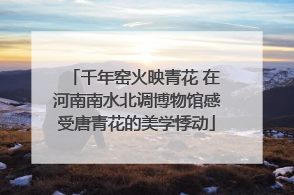 千年窑火映青花 在河南南水北调博物馆感受唐青花的美学悸动