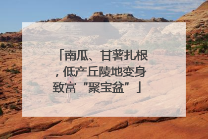 南瓜、甘薯扎根，低产丘陵地变身致富“聚宝盆”