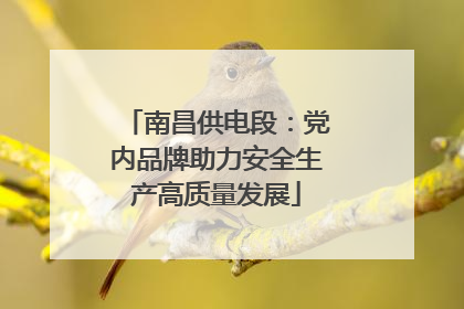 南昌供电段：党内品牌助力安全生产高质量发展