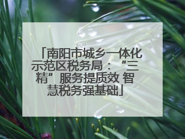 南阳市城乡一体化示范区税务局：“三精”服务提质效 智慧税务强基础