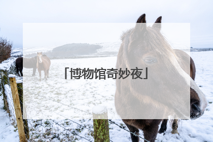博物馆奇妙夜
