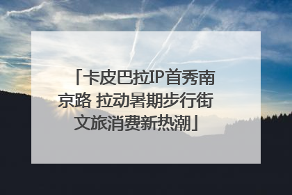 卡皮巴拉IP首秀南京路 拉动暑期步行街文旅消费新热潮