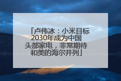 卢伟冰：小米目标2030年成为中国头部家电，非常期待和美的海尔并列