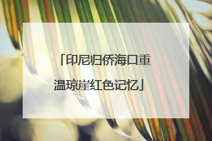 印尼归侨海口重温琼崖红色记忆