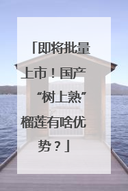 即将批量上市！国产“树上熟”榴莲有啥优势？
