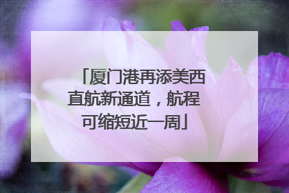 厦门港再添美西直航新通道，航程可缩短近一周