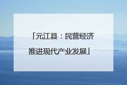 元江县：民营经济推进现代产业发展