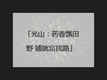 光山：药香飘田野 铺就富民路