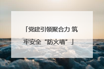 党建引领聚合力 筑牢安全“防火墙”