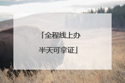 全程线上办 半天可拿证