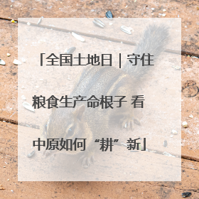 全国土地日｜守住粮食生产命根子 看中原如何“耕”新