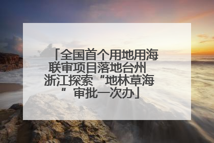 全国首个用地用海联审项目落地台州 浙江探索“地林草海”审批一次办