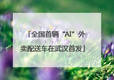 全国首辆“AI”外卖配送车在武汉首发